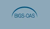 BIGS_OAS