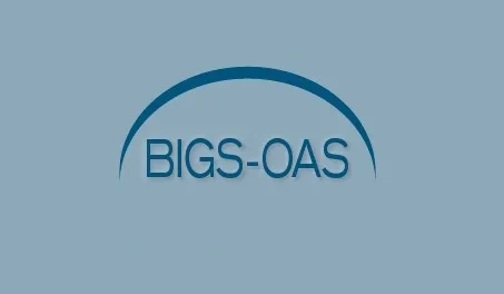 BIGS_OAS