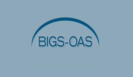 BIGS_OAS
