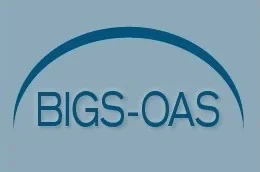 BIGS-OAS.jpg