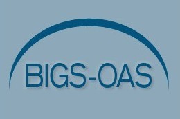 BIGS-OAS.jpg