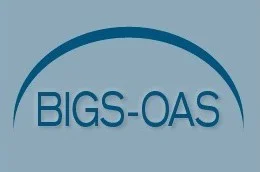 BIGS-OAS.jpg