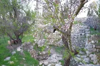 Mazmil in spring.jpg