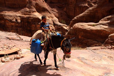Young Bedul on his way to the Monastery (Ad-Deir) in Petra.jpg