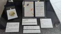 Nobel Peace Prize in Hiroshima.jpg