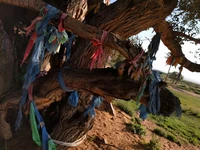 Bachelor Hauptseite_Carsten Friede.jpg