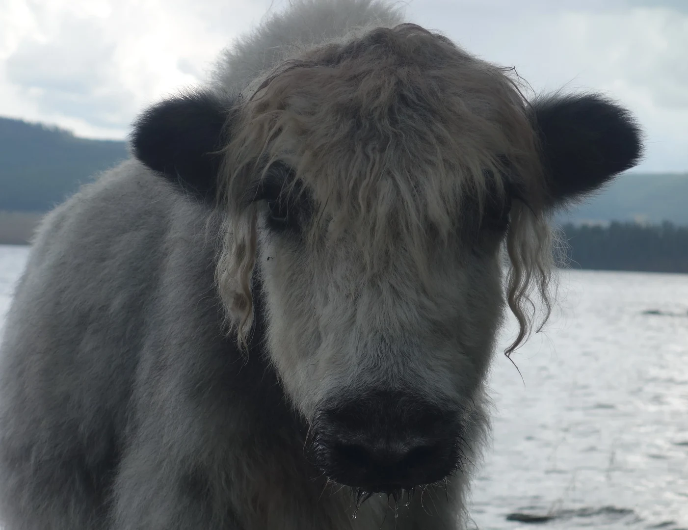 Button_Bachelor_Uta Barz.jpg