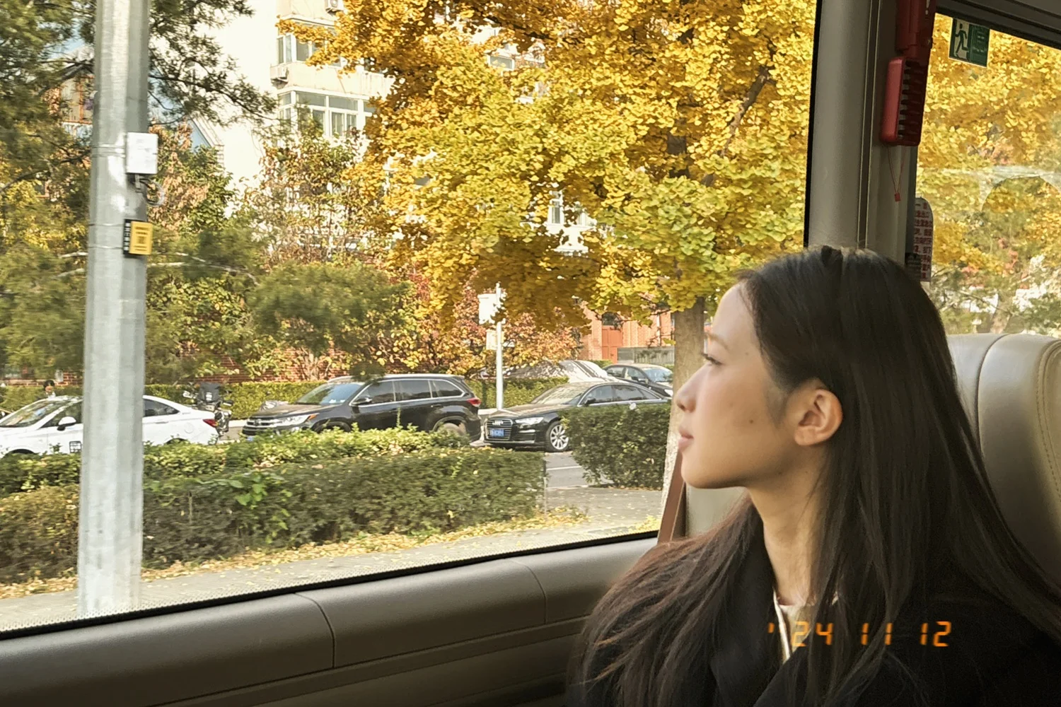 PAN Jingying 潘晶瑛 – neue Gastdoktorandin an der Abteilung