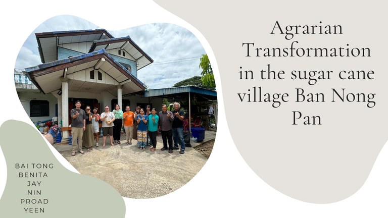 Agrarian Transformation in the “sugar cane village” Ban Nong Paen.pdf