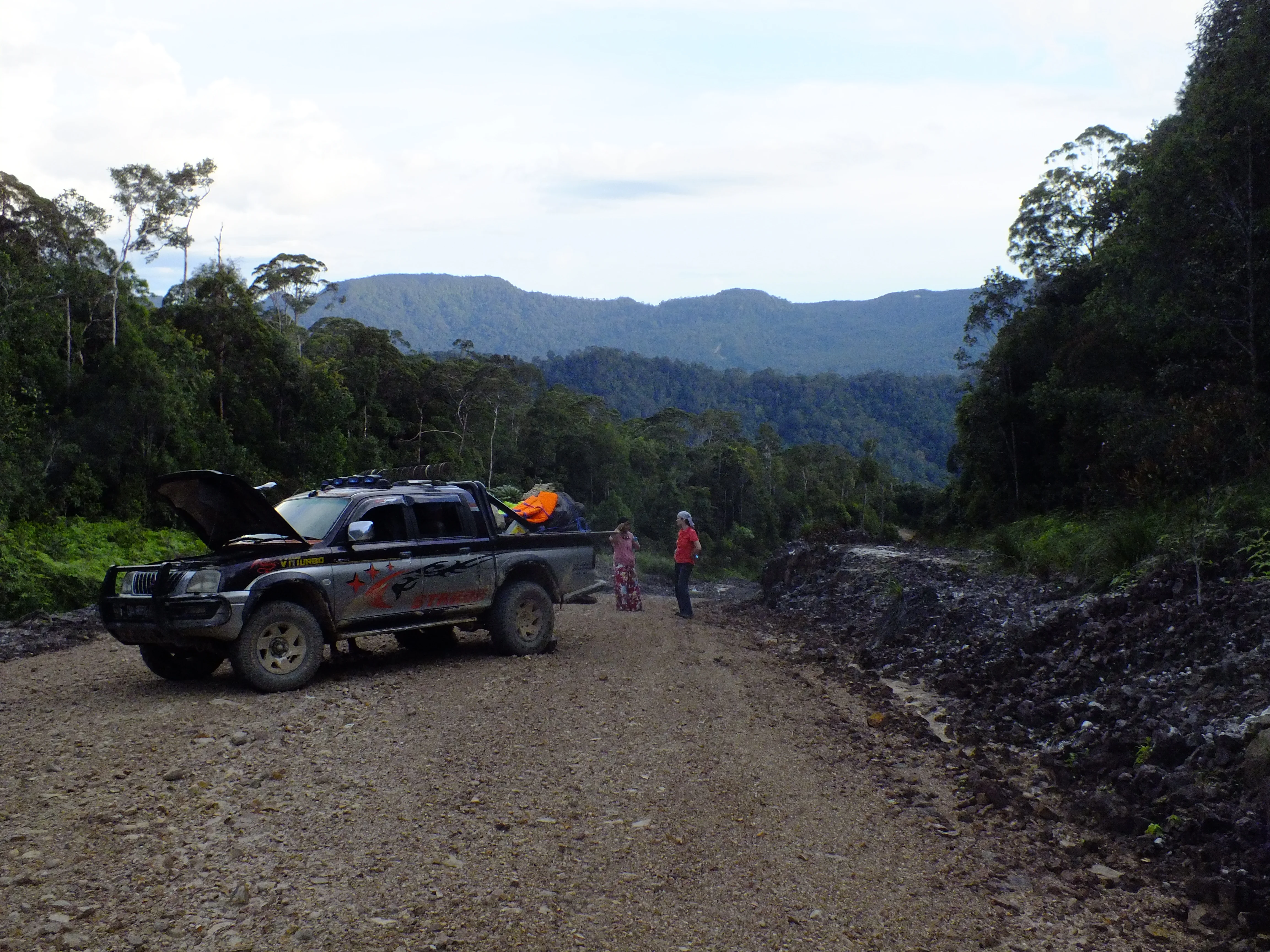 New Environmentalisms and Global Change in Southeast Asia.JPG