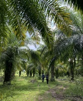 Project Summary Foto