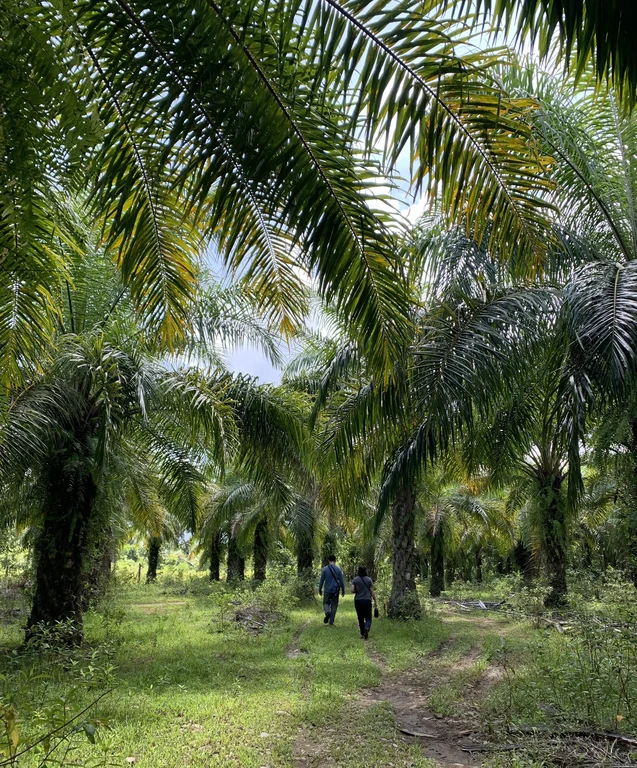 Project Summary Foto