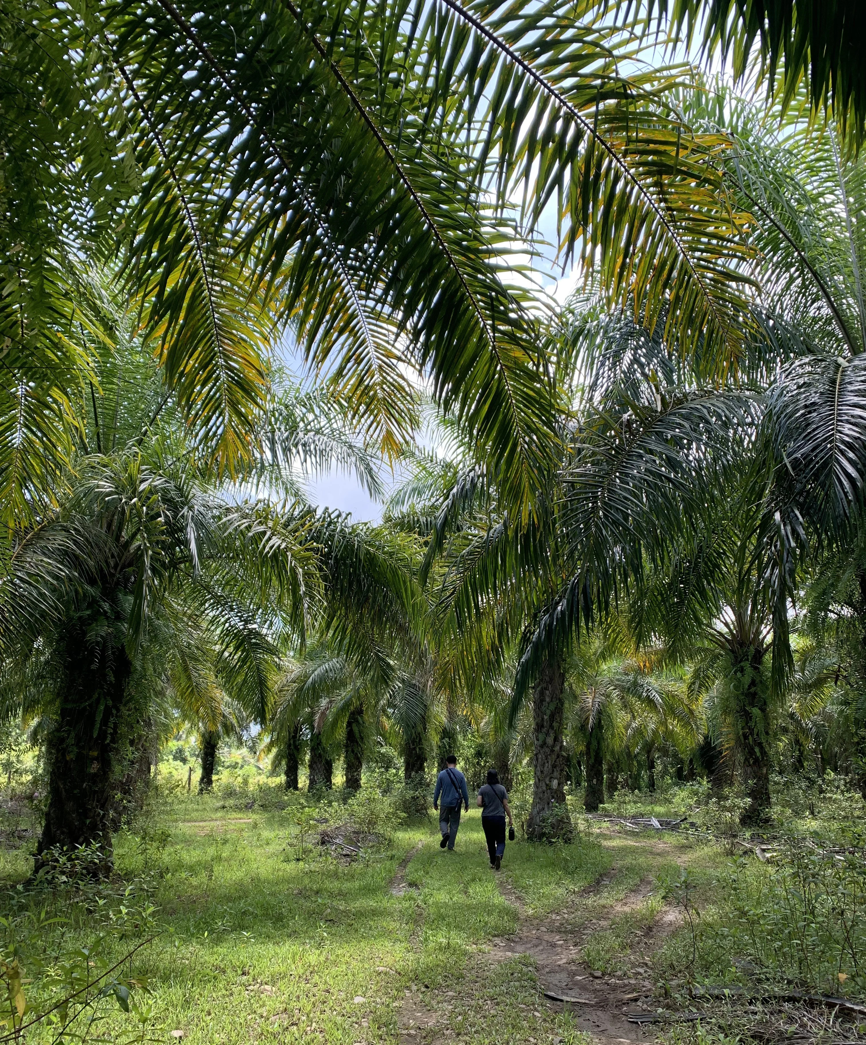 Project Summary Foto