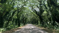 Road Palawan - banner option 2.JPEG