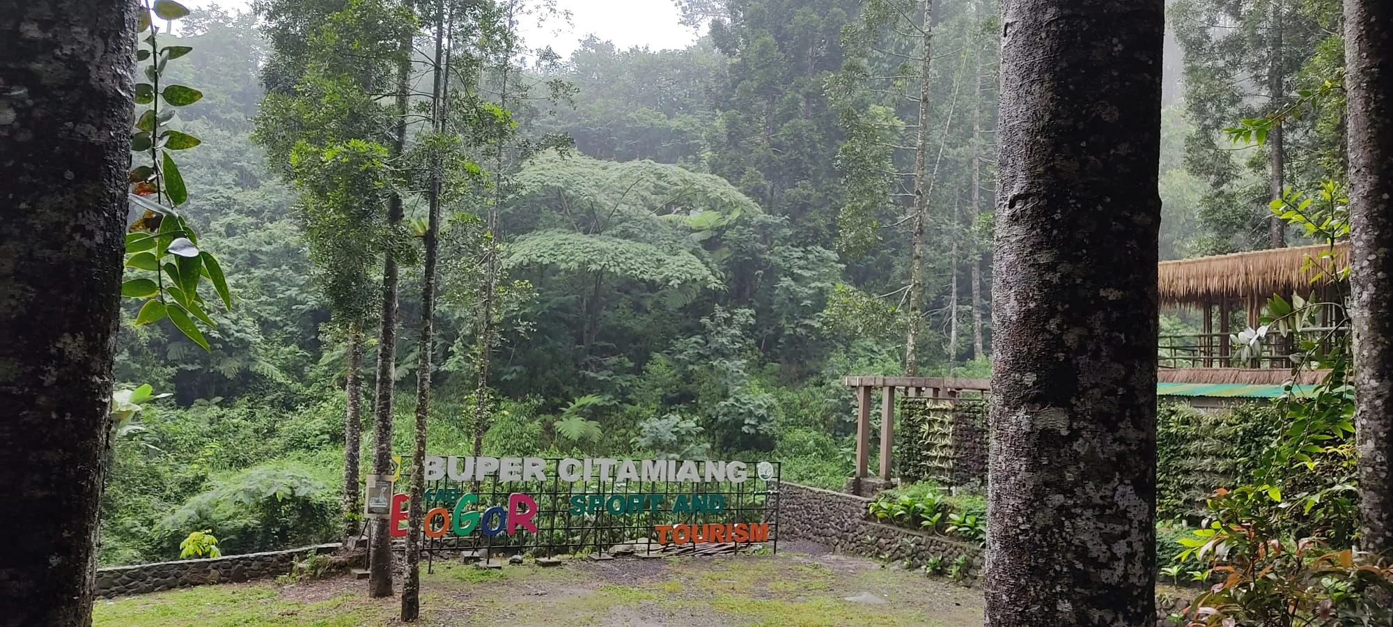 Amkunft in Puncak.jpeg