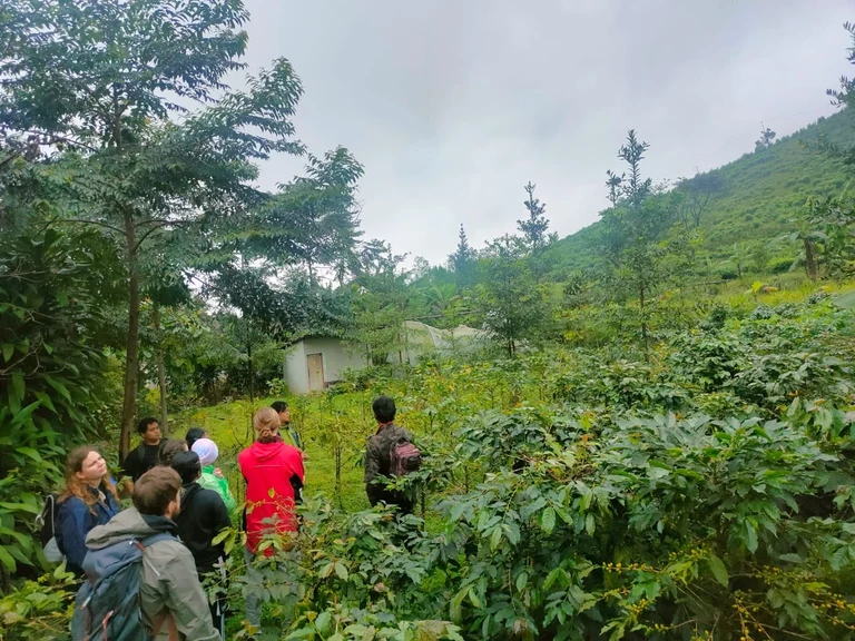 Kaffeeplantage 2.jpeg