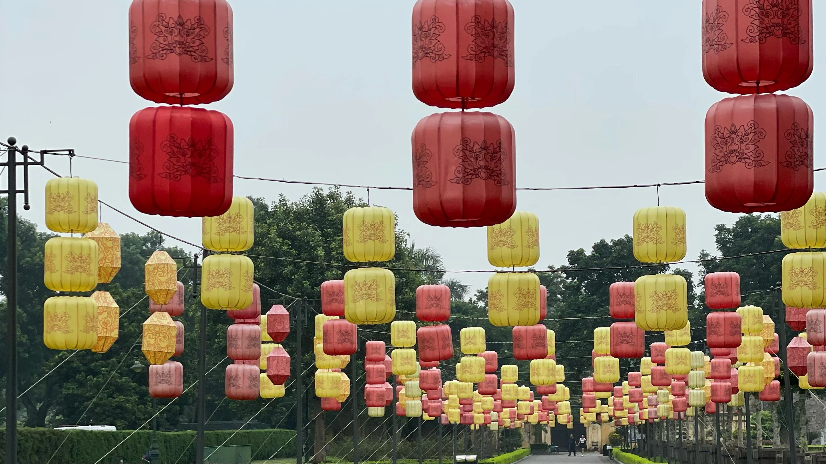 WhatsApp Image 2025-03-12 at 11.09.57.jpeg