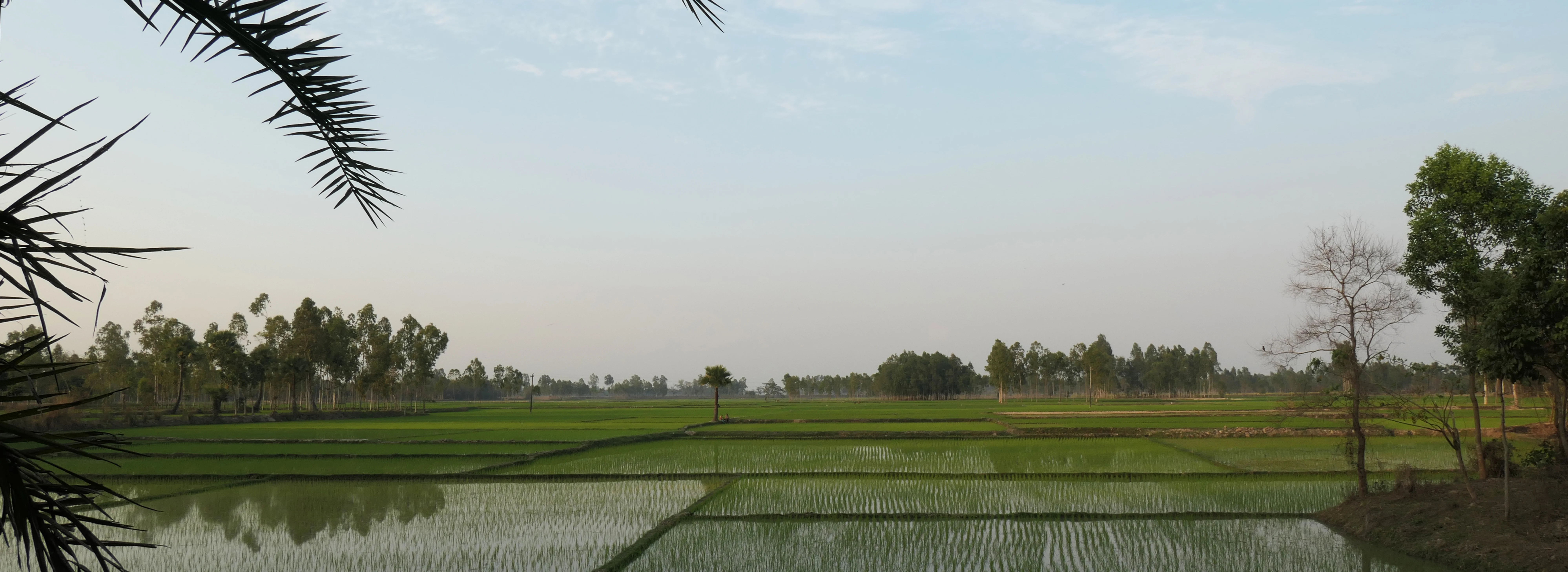 Startseite_Header 3.jpg